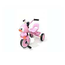 Girls Princess Bike with Basket and Training Wheels – Pink